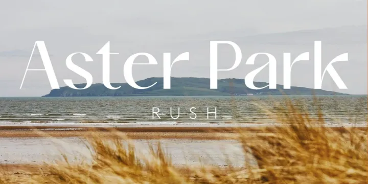 Aster Park Branding